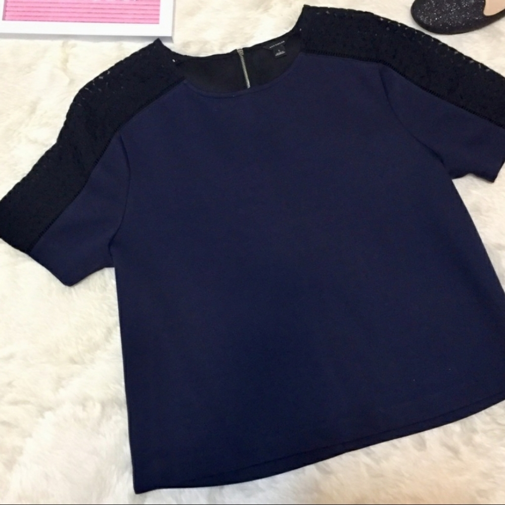 Ann Taylor Navy & Black Lace Ponte Top Large